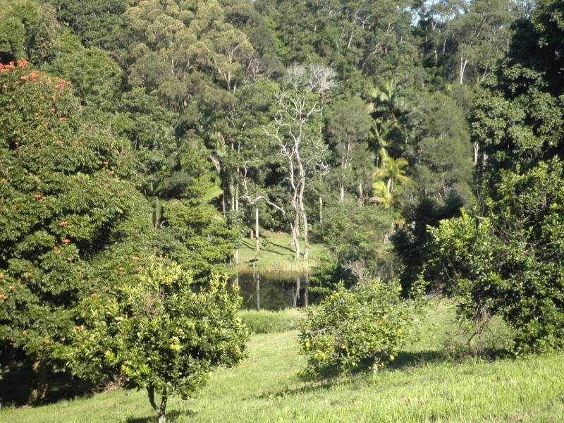 25 Carramar Court, Flaxton QLD 4560