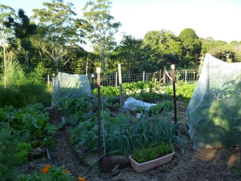 25 Kingsview Drive, Flaxton QLD 4560