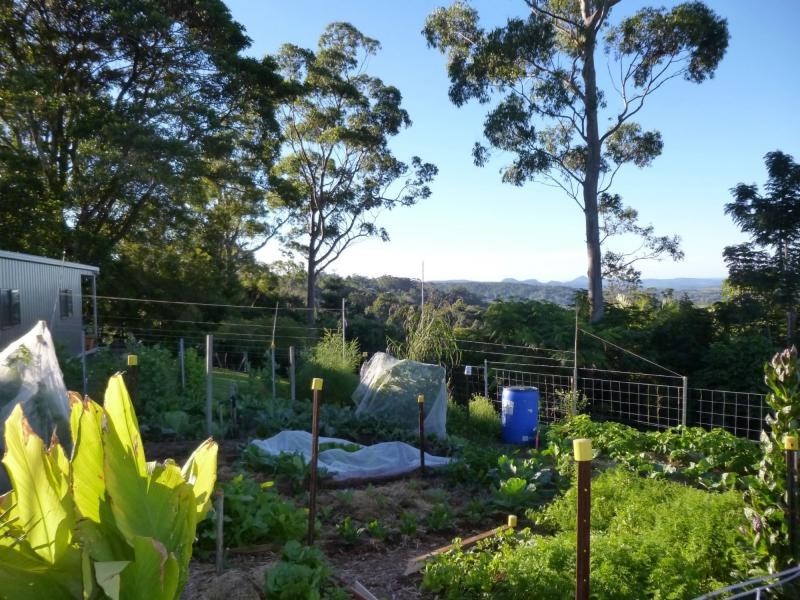 25 Kingsview Drive, Flaxton QLD 4560