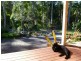 13 Toona Place, Mapleton QLD 4560