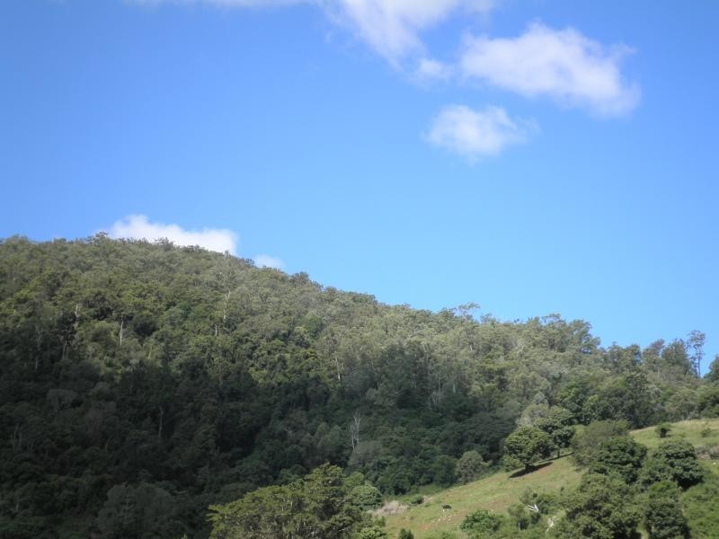 37 Walli Creek Road, Kenilworth QLD 4574