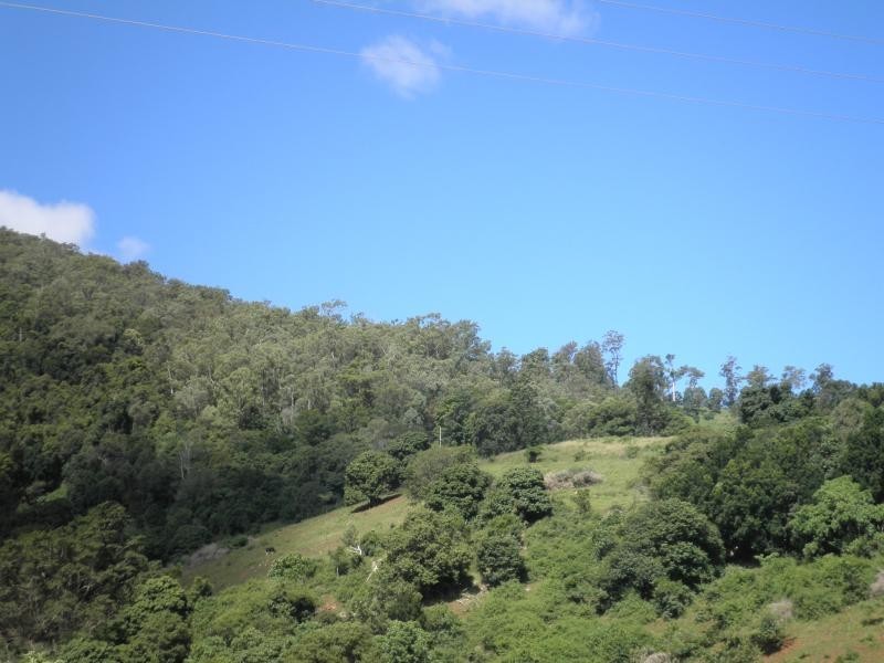37 Walli Creek Road, Kenilworth QLD 4574
