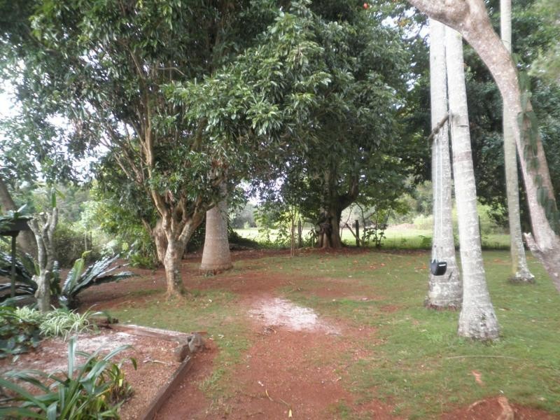 77 Flaxton Drive, Mapleton QLD 4560