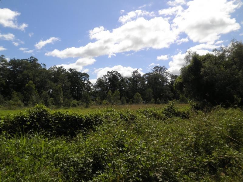 43 Walli Creek Road, Kenilworth QLD 4574