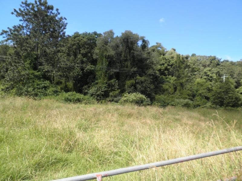 43 Walli Creek Road, Kenilworth QLD 4574