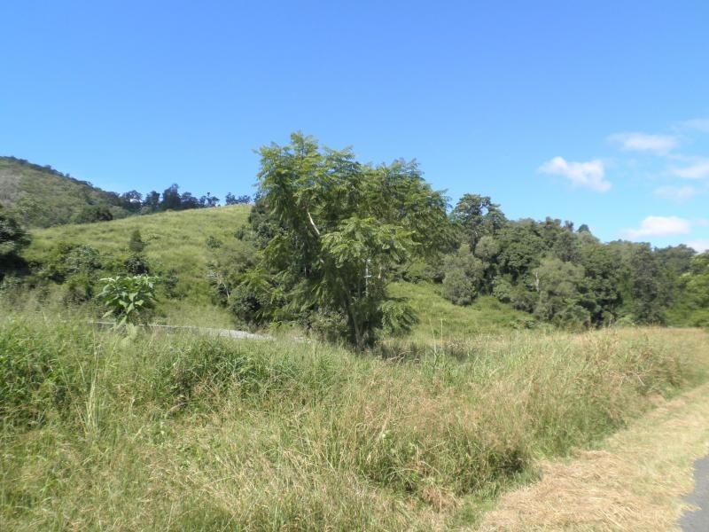 43 Walli Creek Road, Kenilworth QLD 4574