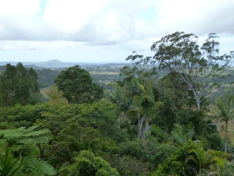 36 Lantana Lane, Mapleton QLD 4560