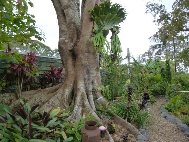 10 Karri Court, Mapleton QLD 4560