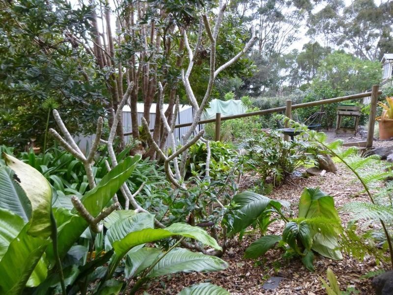 10 Karri Court, Mapleton QLD 4560