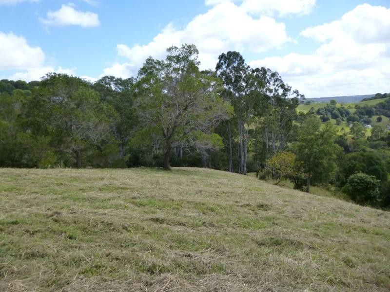 58 Philipps Road, Dulong QLD 4560