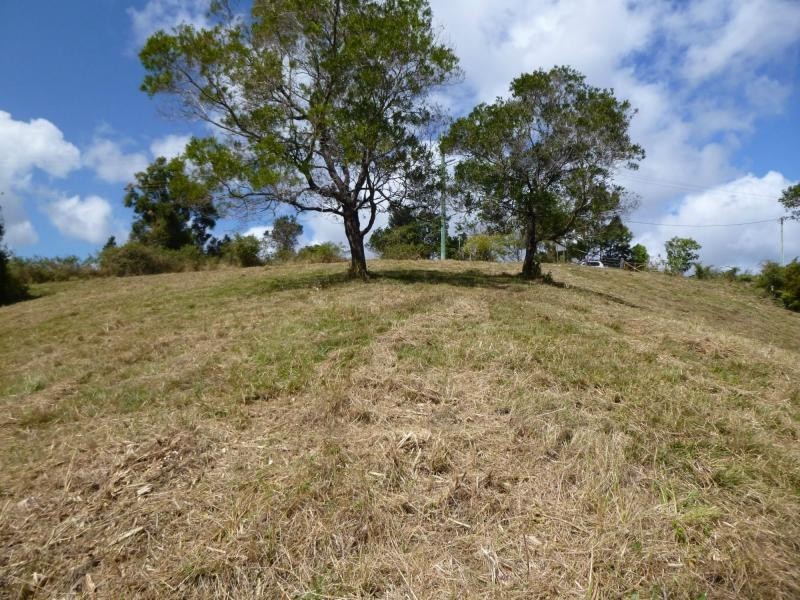 58 Philipps Road, Dulong QLD 4560