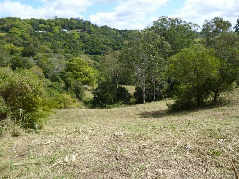 58 Philipps Road, Dulong QLD 4560