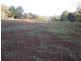 L21/238 Dulong Road, Dulong QLD 4560