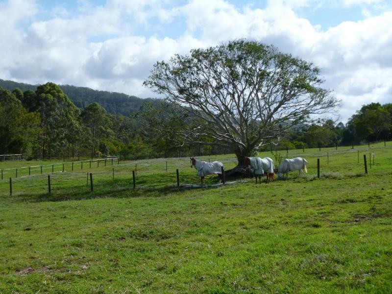 80 Spring Pasture Drive, Mapleton QLD 4560
