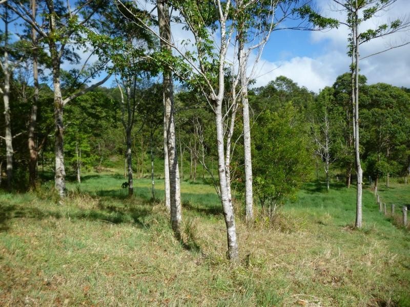 80 Spring Pasture Drive, Mapleton QLD 4560