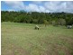 80 Spring Pasture Drive, Mapleton QLD 4560