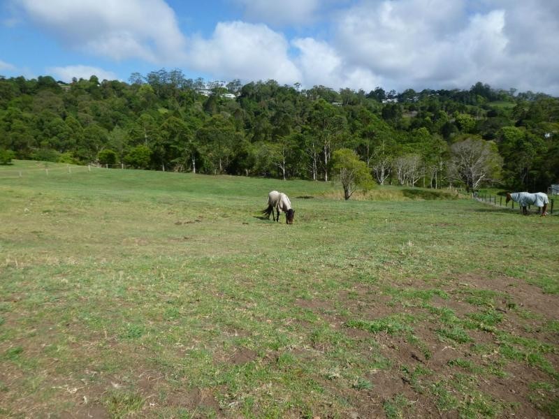 80 Spring Pasture Drive, Mapleton QLD 4560