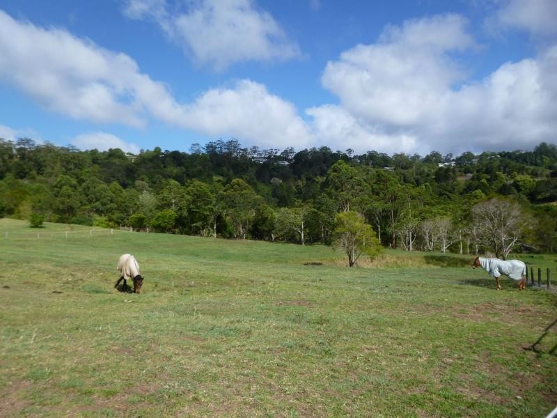 80 Spring Pasture Drive, Mapleton QLD 4560