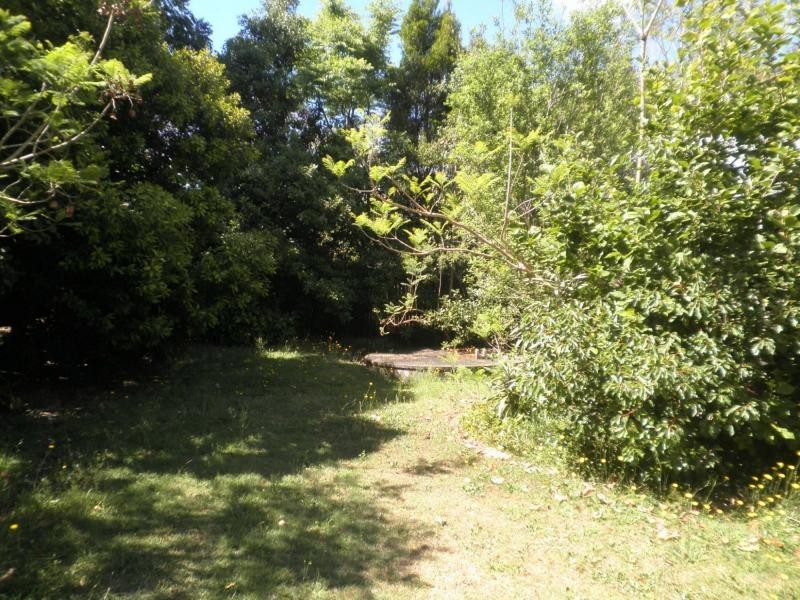 20 Hoffman Close, Montville QLD 4560