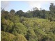 910 Nambour Mapleton Road, Mapleton QLD 4560