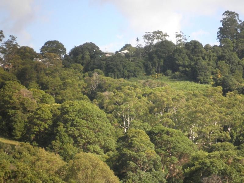 910 Nambour Mapleton Road, Mapleton QLD 4560