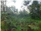 455 Coolabine Road, Coolabine QLD 4574