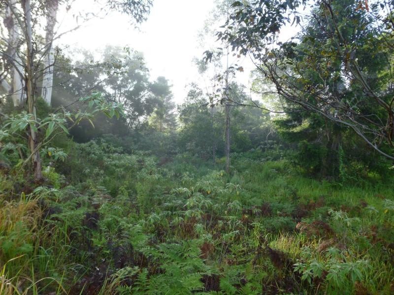 455 Coolabine Road, Coolabine QLD 4574
