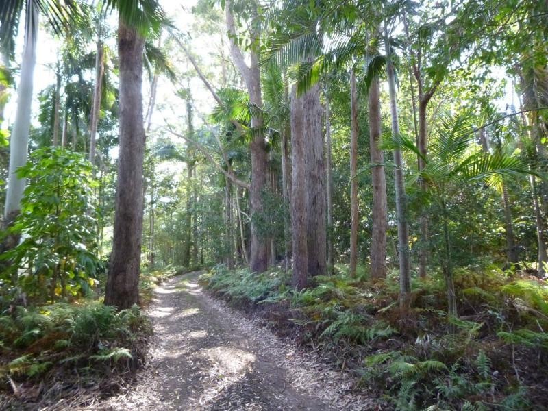 53 Obi Obi Road, Mapleton QLD 4560