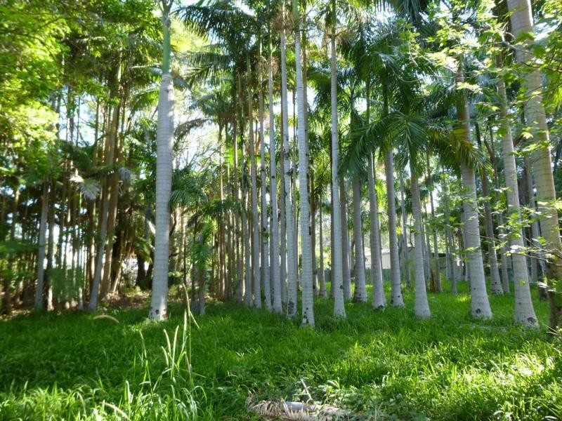 53 Obi Obi Road, Mapleton QLD 4560