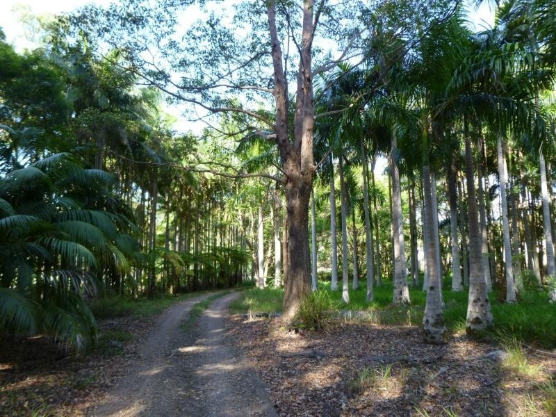 53 Obi Obi Road, Mapleton QLD 4560