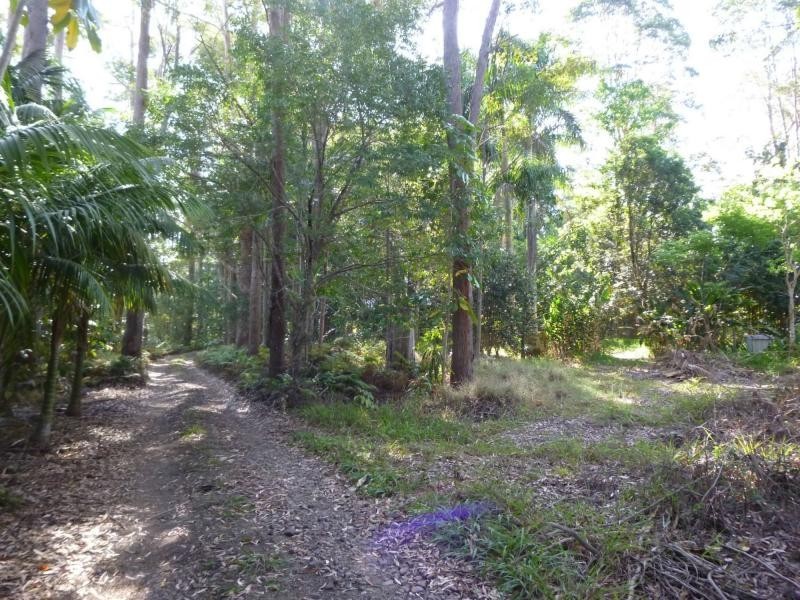 53 Obi Obi Road, Mapleton QLD 4560