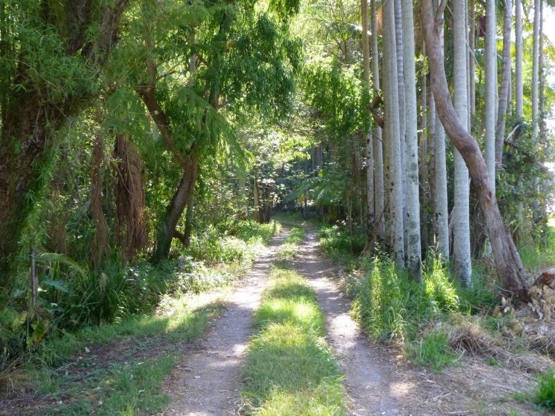 53 Obi Obi Road, Mapleton QLD 4560