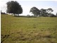160 Obi Obi Road, Mapleton QLD 4560