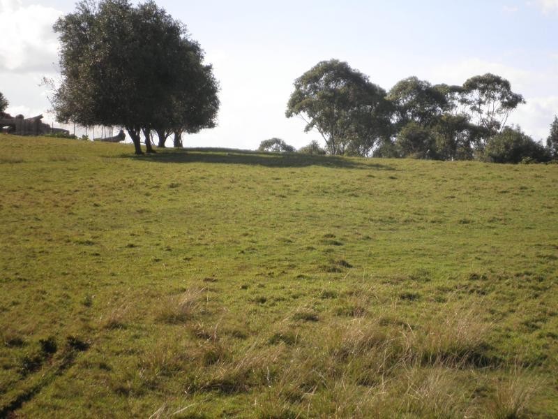 160 Obi Obi Road, Mapleton QLD 4560