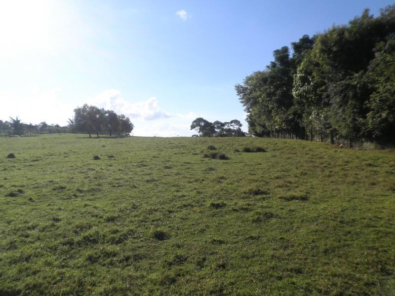 160 Obi Obi Road, Mapleton QLD 4560