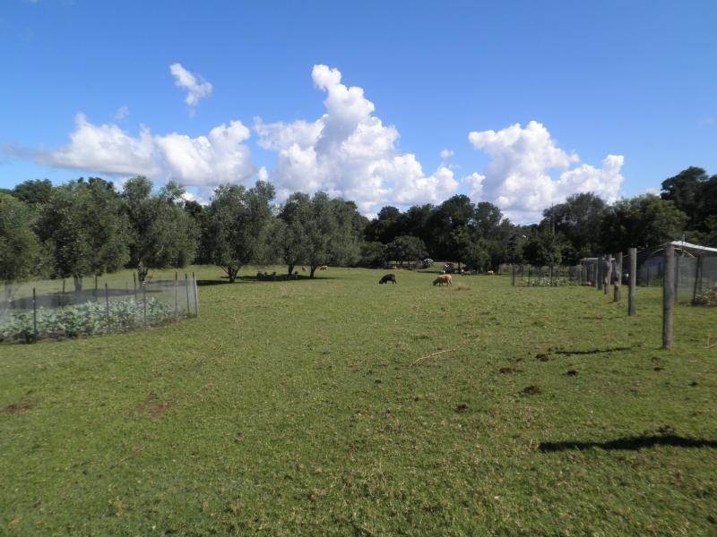 160 Obi Obi Road, Mapleton QLD 4560