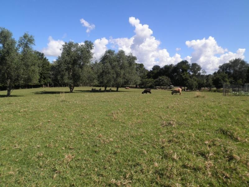 160 Obi Obi Road, Mapleton QLD 4560