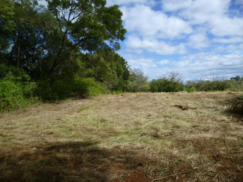 226 Balmoral Road, Montville QLD 4560