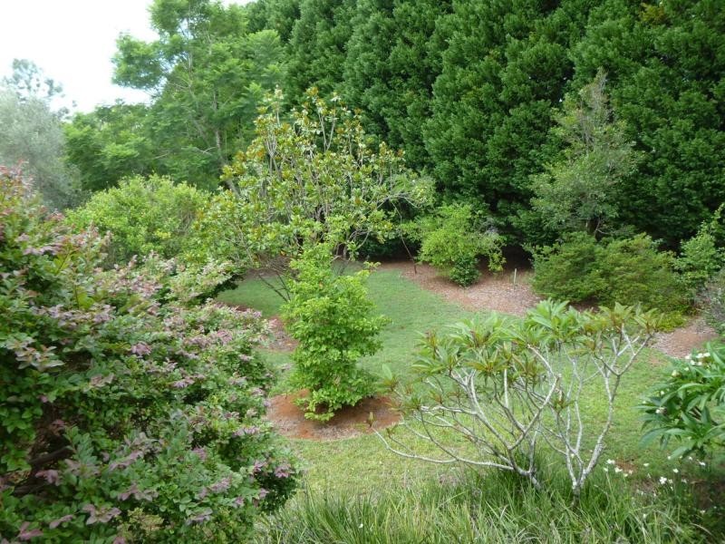 9 Carramar Court, Flaxton QLD 4560