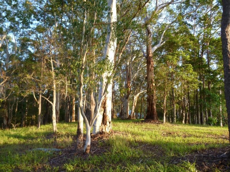 589 Nambour Mapleton Road, Kureelpa QLD 4560