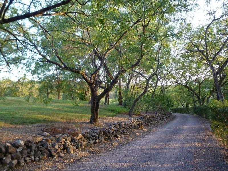 589 Nambour Mapleton Road, Kureelpa QLD 4560