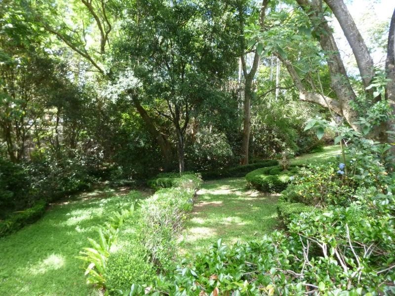 6 Kondalilla Falls Road, Montville QLD 4560