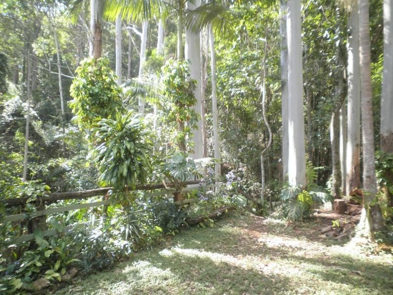 654 Obi Obi Road, Obi Obi QLD 4574