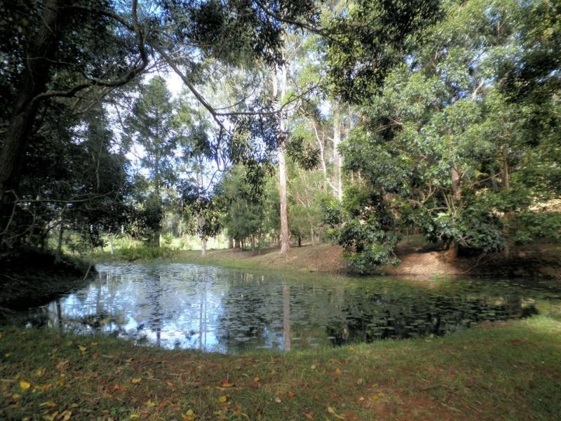 147 Obi Obi Road, Mapleton QLD 4560