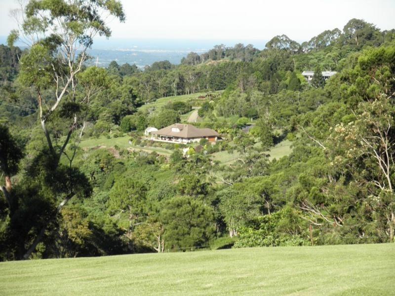 41 Manley Drive, Montville QLD 4560