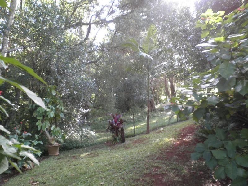 16 Wilga Court, Mapleton QLD 4560