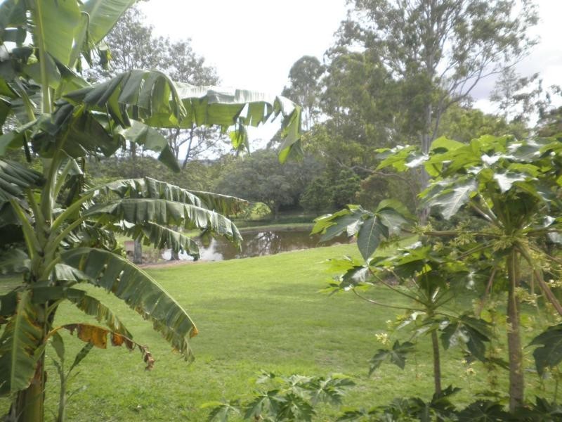 2A Murray Grey Drive, Mapleton QLD 4560