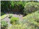 1 Falcon Court, Mapleton QLD 4560