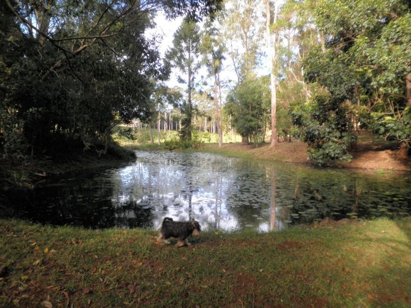 147 Obi Obi Road, Mapleton QLD 4560