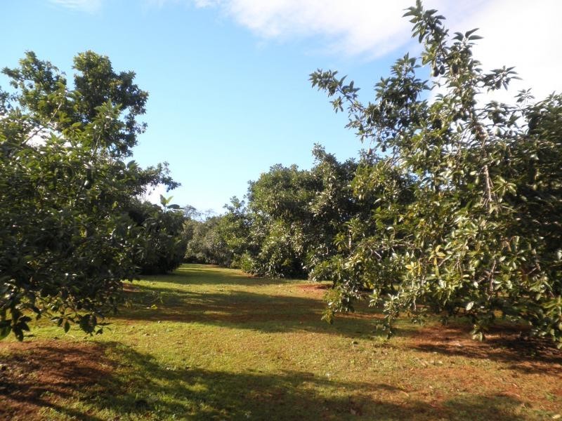 147 Obi Obi Road, Mapleton QLD 4560